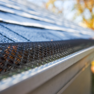 Guard Your Gutters_ The Unseen Benefits of Investing in Gutter Guards